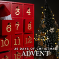 25 Days of Christmas Advent Book Box - PRE-ORDER — BOXES SHIP MID-NOVEMBER