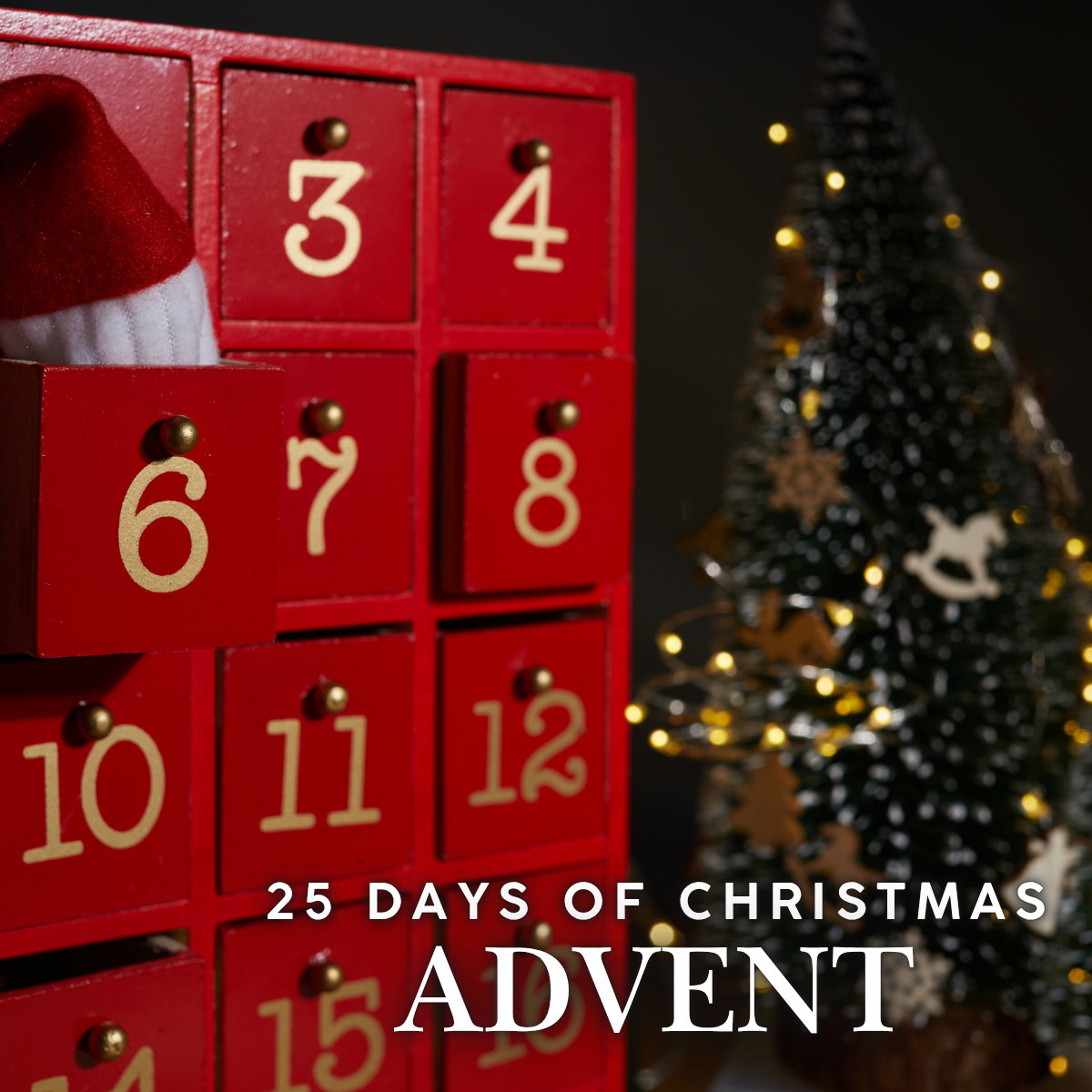 25 Days of Christmas Advent Book Box - PRE-ORDER — BOXES SHIP MID-NOVEMBER